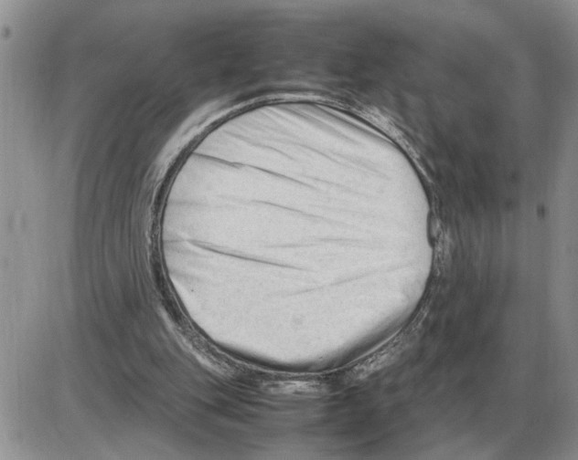 X0000086060151200704202109