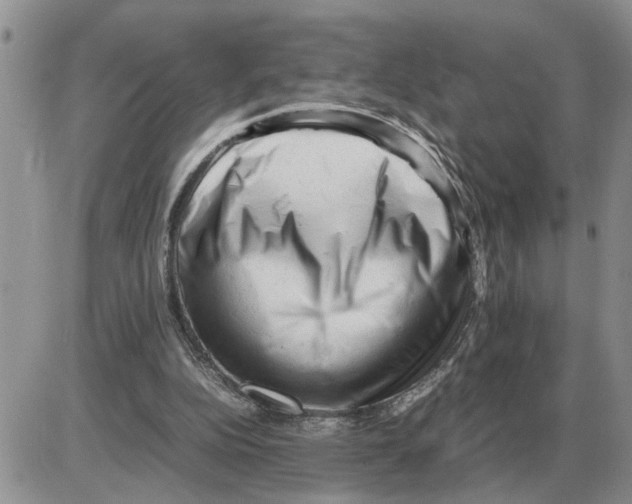 X0000086060152200704202109