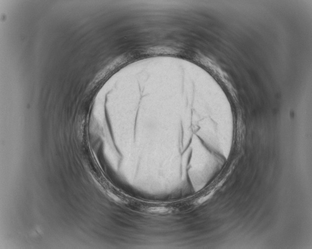 X0000086060153200704202109