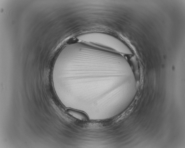 X0000086060154200704202109