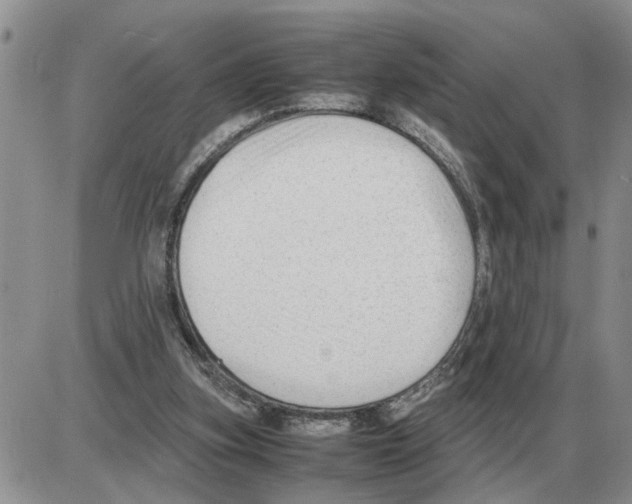 X0000086060155200704202109