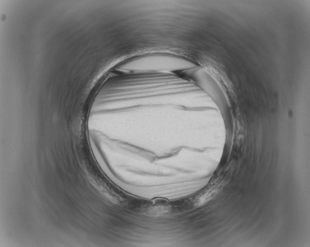 X0000086060156200704202109