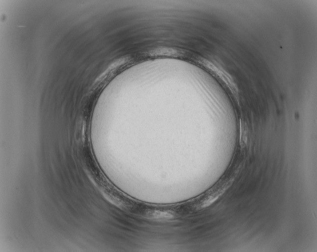 X0000086060157200704202109