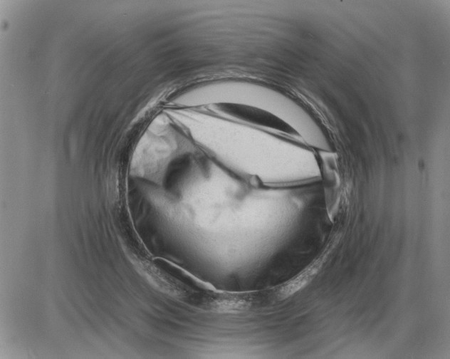 X0000086060158200704202109