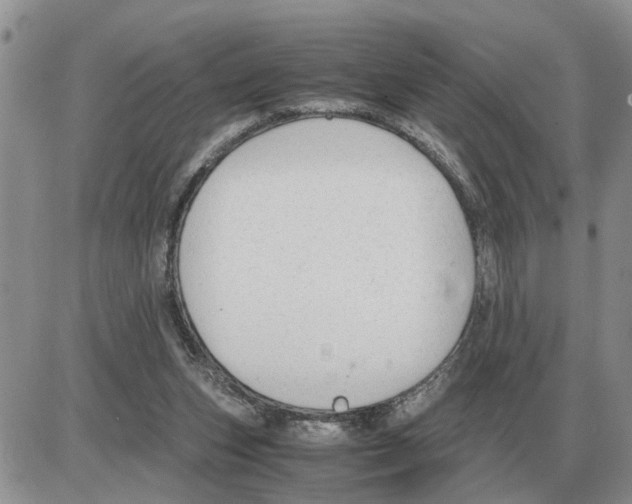 X0000086060159200704202109