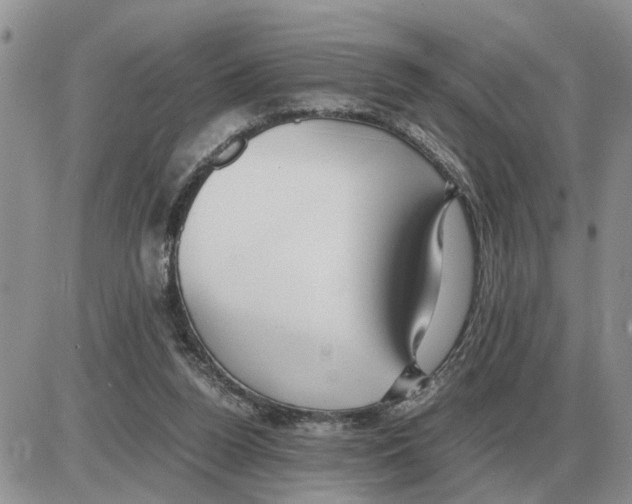 X0000086060160200704202109