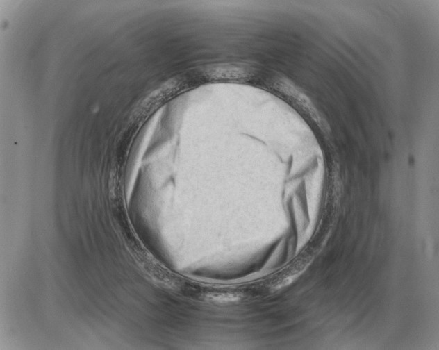 X0000086060161200704202109