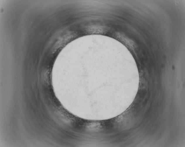 X0000086060162200704202109