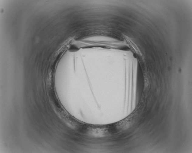 X0000086060163200704202109