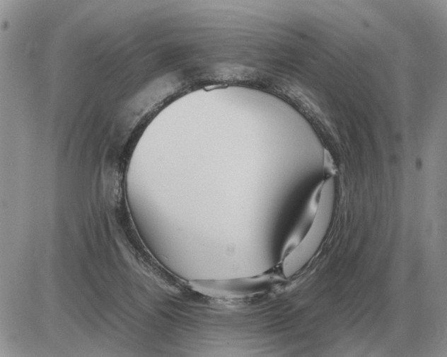 X0000086060164200704202110