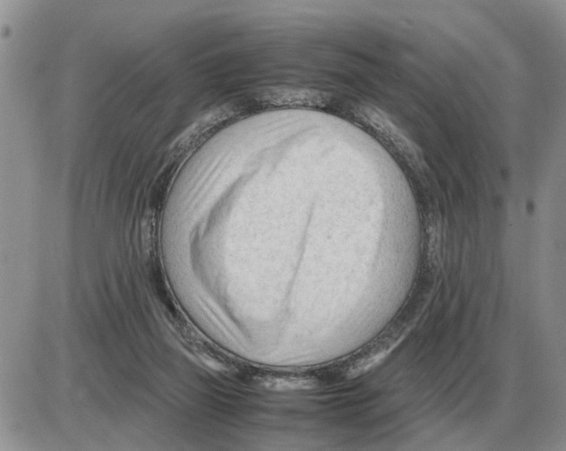 X0000086060165200704202110