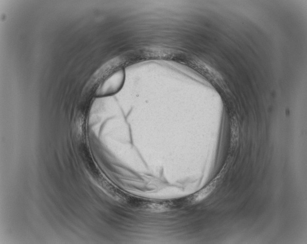 X0000086060166200704202110