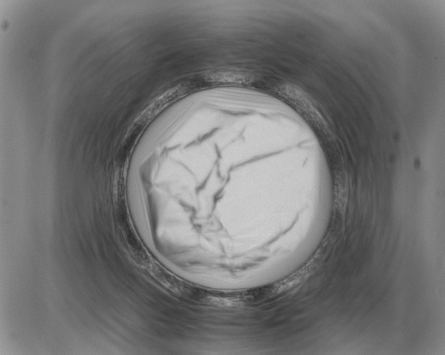 X0000086060167200704202110