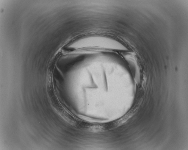 X0000086060168200704202110