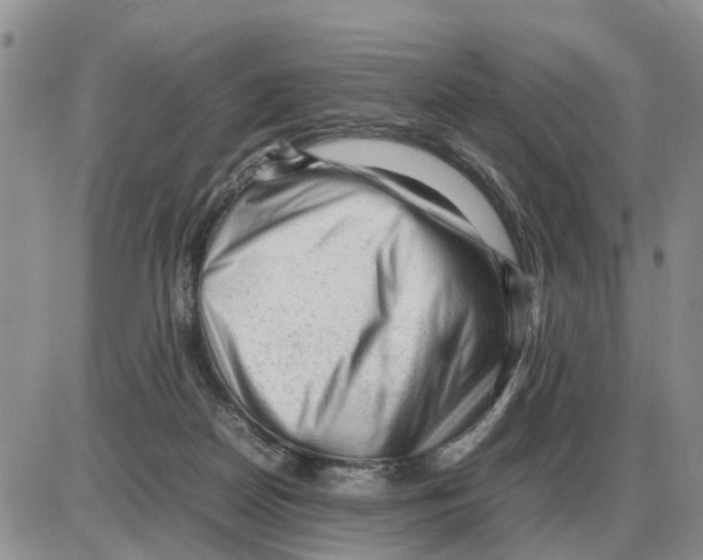 X0000086060170200704202110