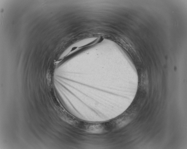 X0000086060173200704202110