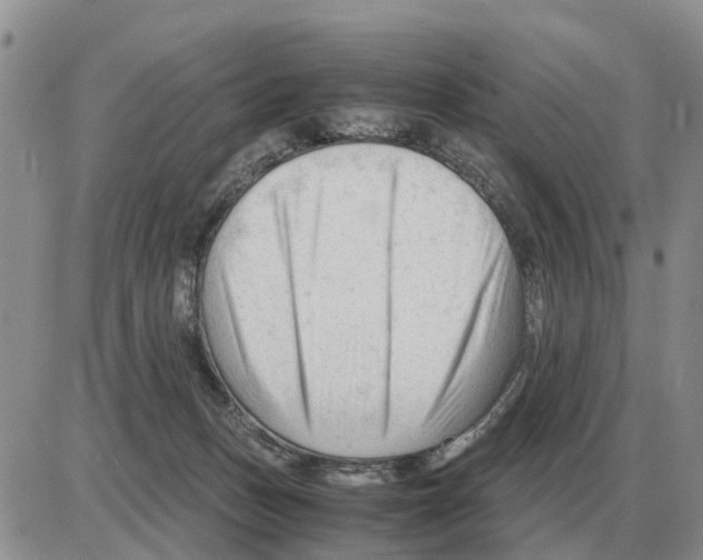 X0000086060175200704202110