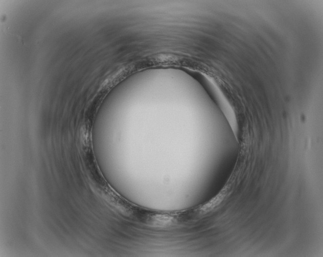 X0000086060176200704202110