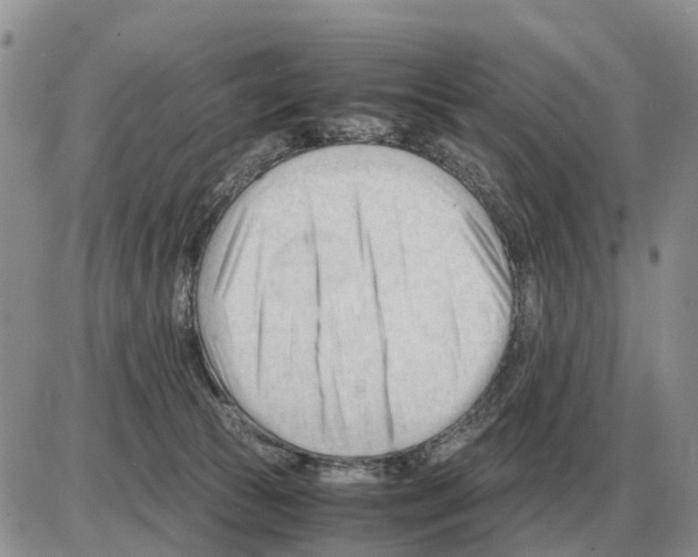 X0000086060177200704202110