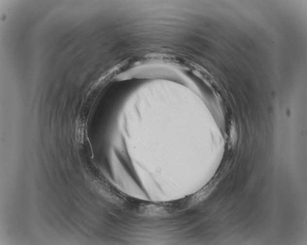 X0000086060180200704202110