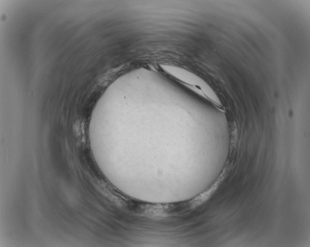 X0000086060182200704202110