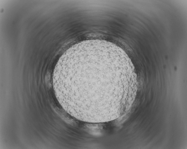 X0000086060187200704202110