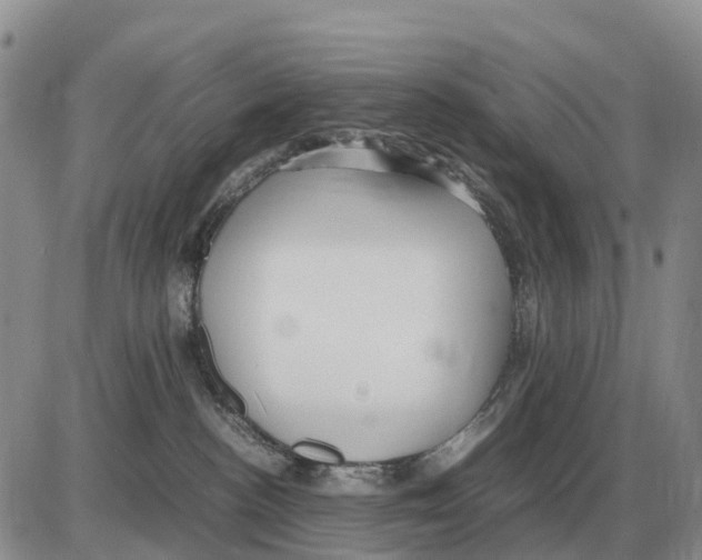 X0000086060188200704202110