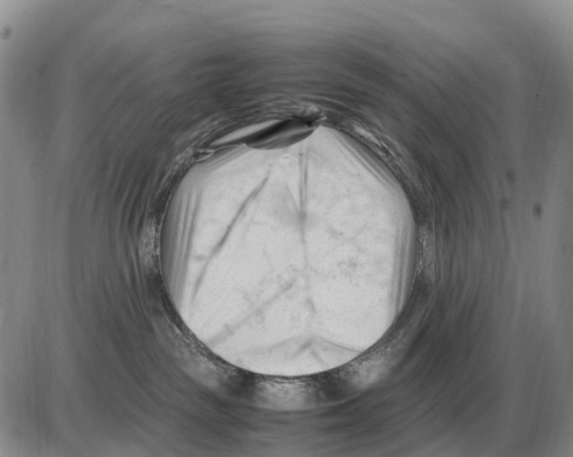 X0000086060189200704202110