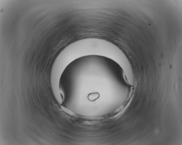 X0000086060190200704202110