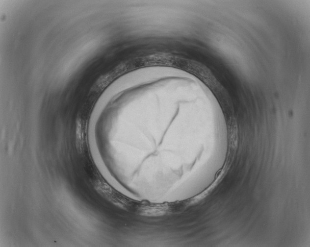 X0000086060191200704202110