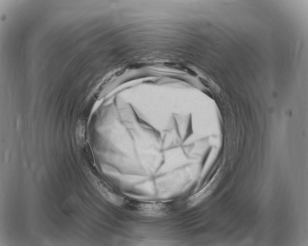 X0000086060192200704202110