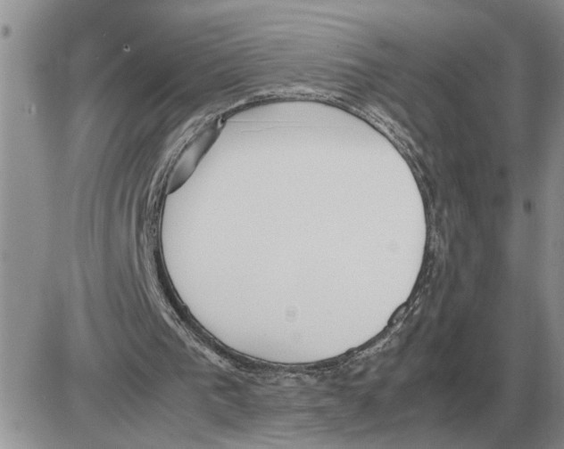 X0000086060193200704202109