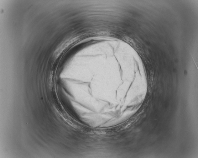 X0000086060194200704202109