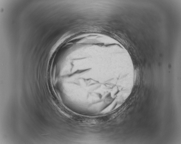 X0000086060195200704202109