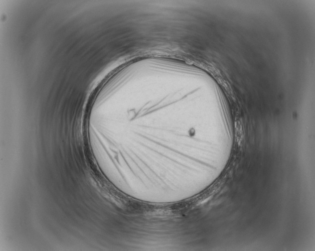 X0000086060196200704202109