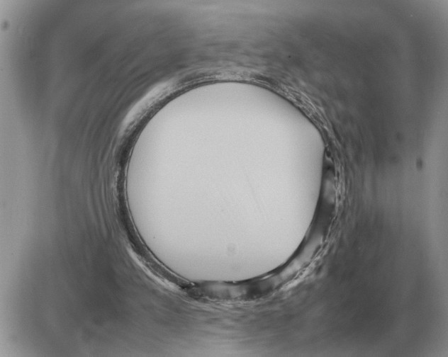 X0000086060197200704202109