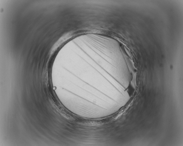 X0000086060198200704202109