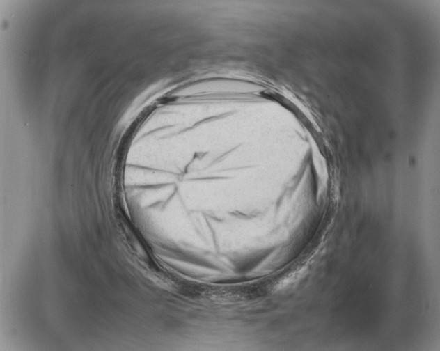 X0000086060199200704202109