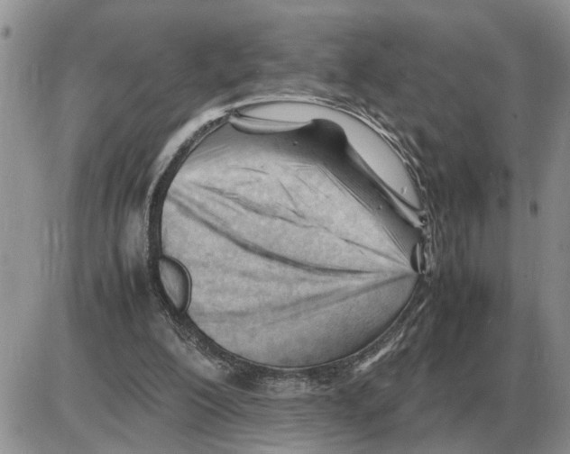 X0000086060200200704202109