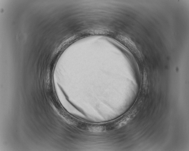 X0000086060202200704202109