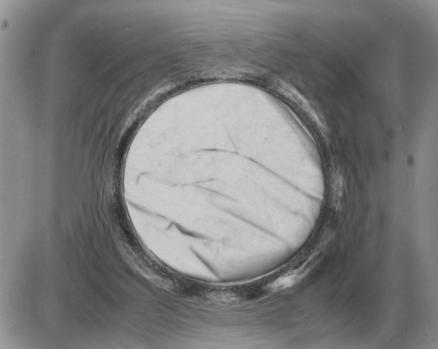 X0000086060203200704202109