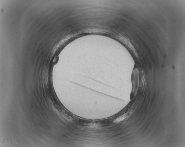 X0000086060204200704202109