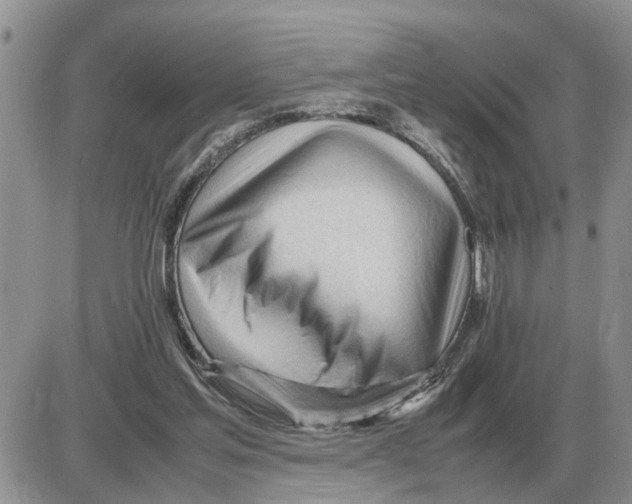 X0000086060205200704202109