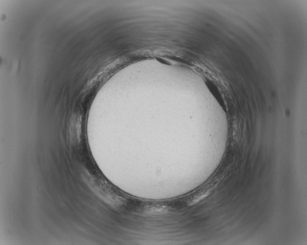 X0000086060206200704202109