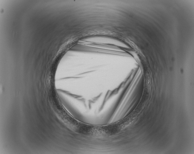 X0000086060207200704202109