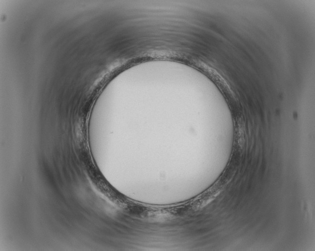 X0000086060208200704202109