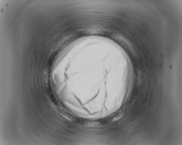 X0000086060210200704202109