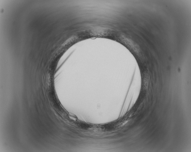 X0000086060211200704202109