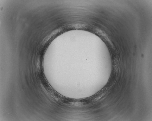 X0000086060212200704202109