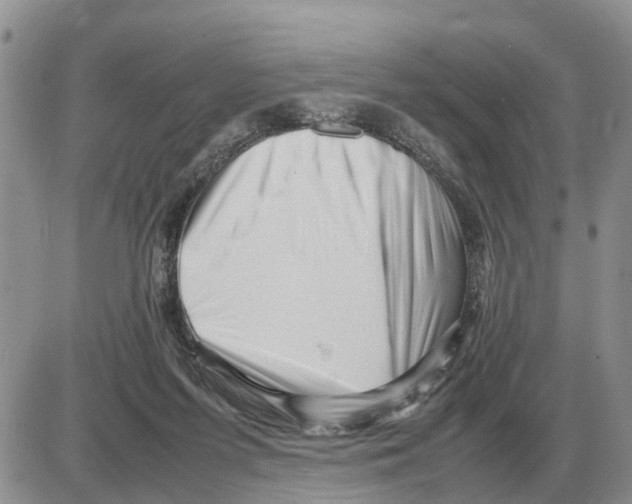 X0000086060215200704202109